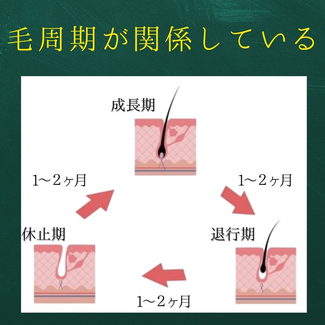 光脱毛は通う回数と間隔が大切！