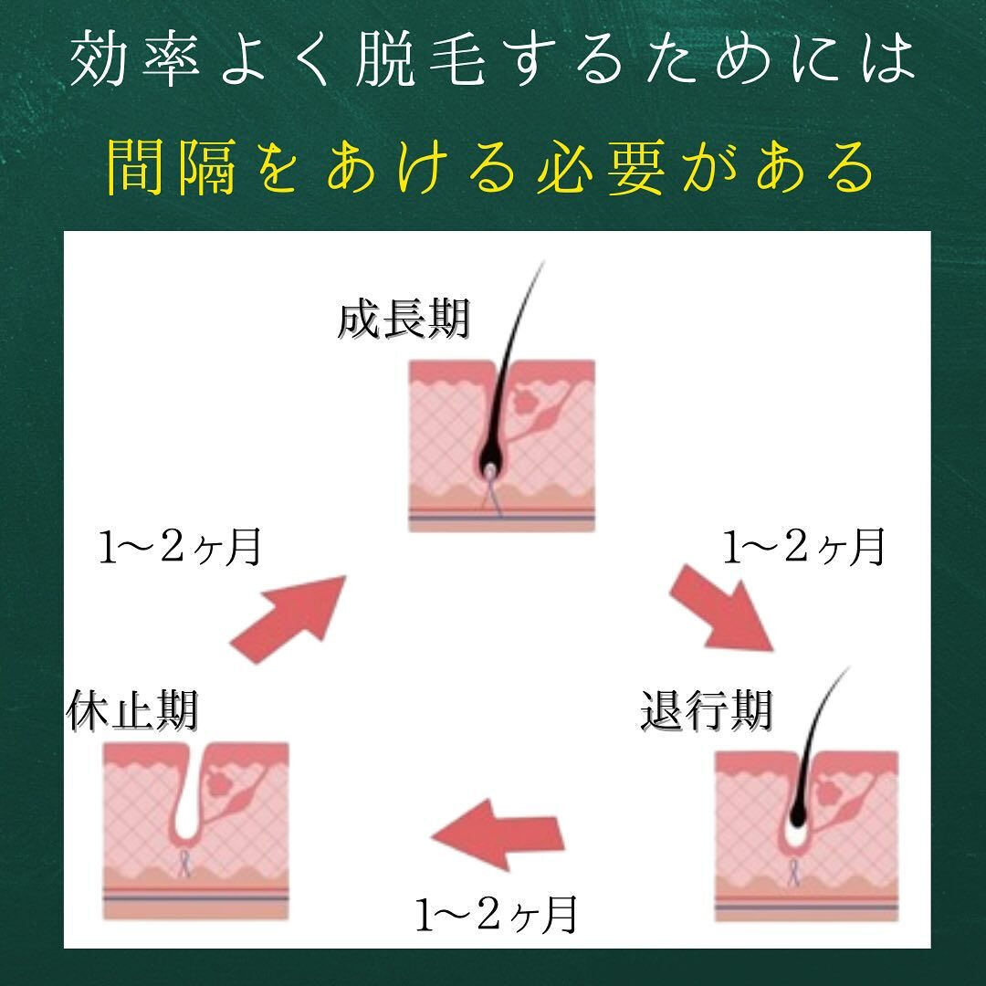 光脱毛は通う回数と間隔が大切！